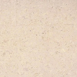 Пробковый пол CORKSTYLE ECOCORK 915*305*6мм (3,36м2-12шт) клеевая Madeira White